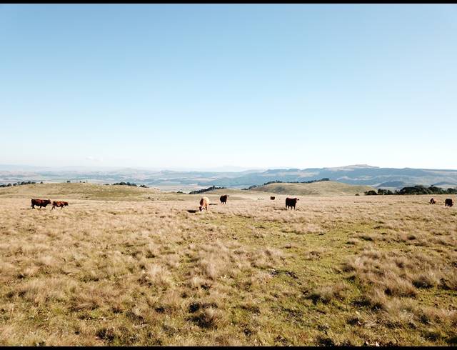830HA FARM FOR SALE IN DARGLE